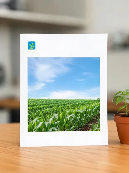 Annual report cover